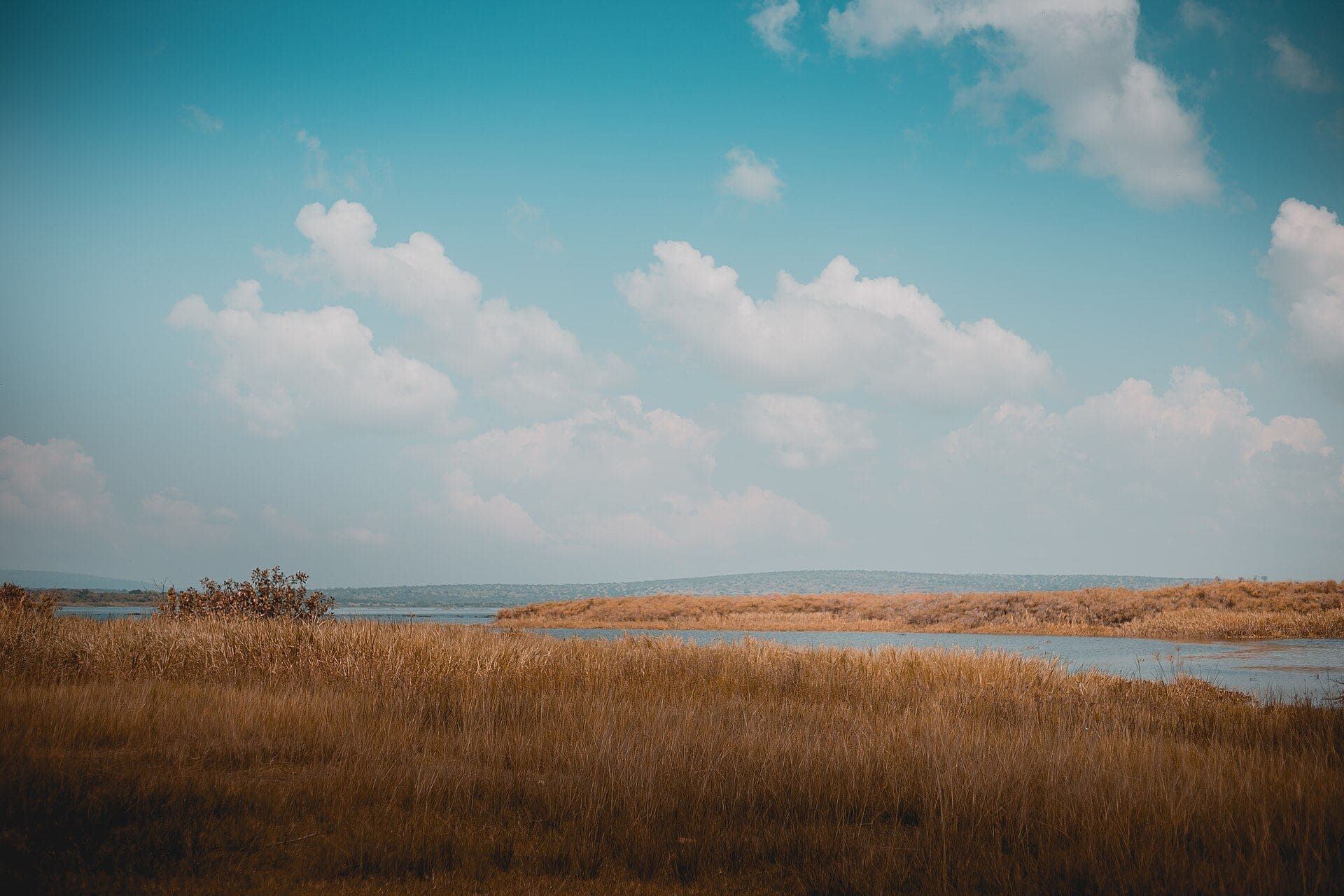Savane et lacs du parc de l'Akagera