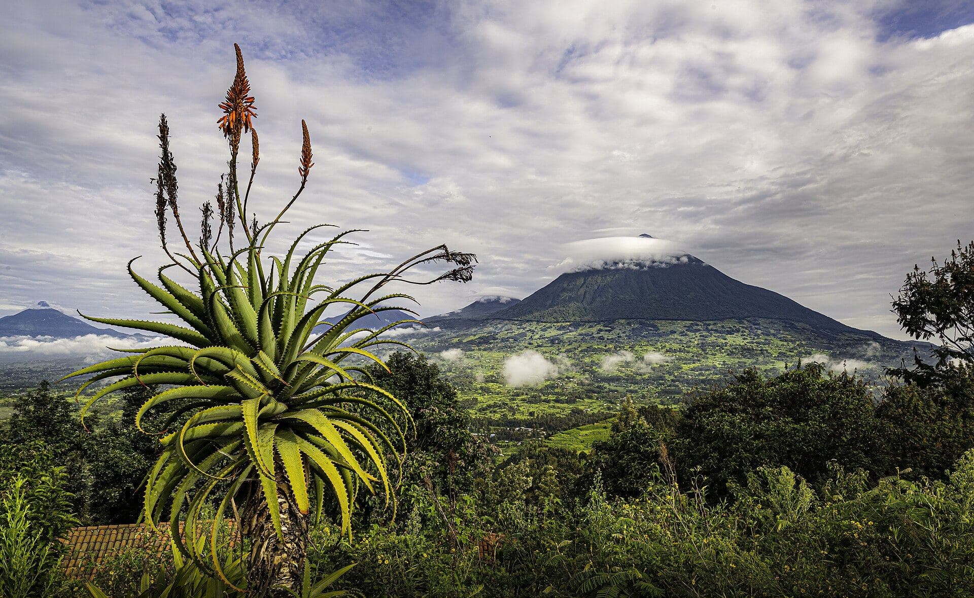 Brume sur les volcans des Virunga