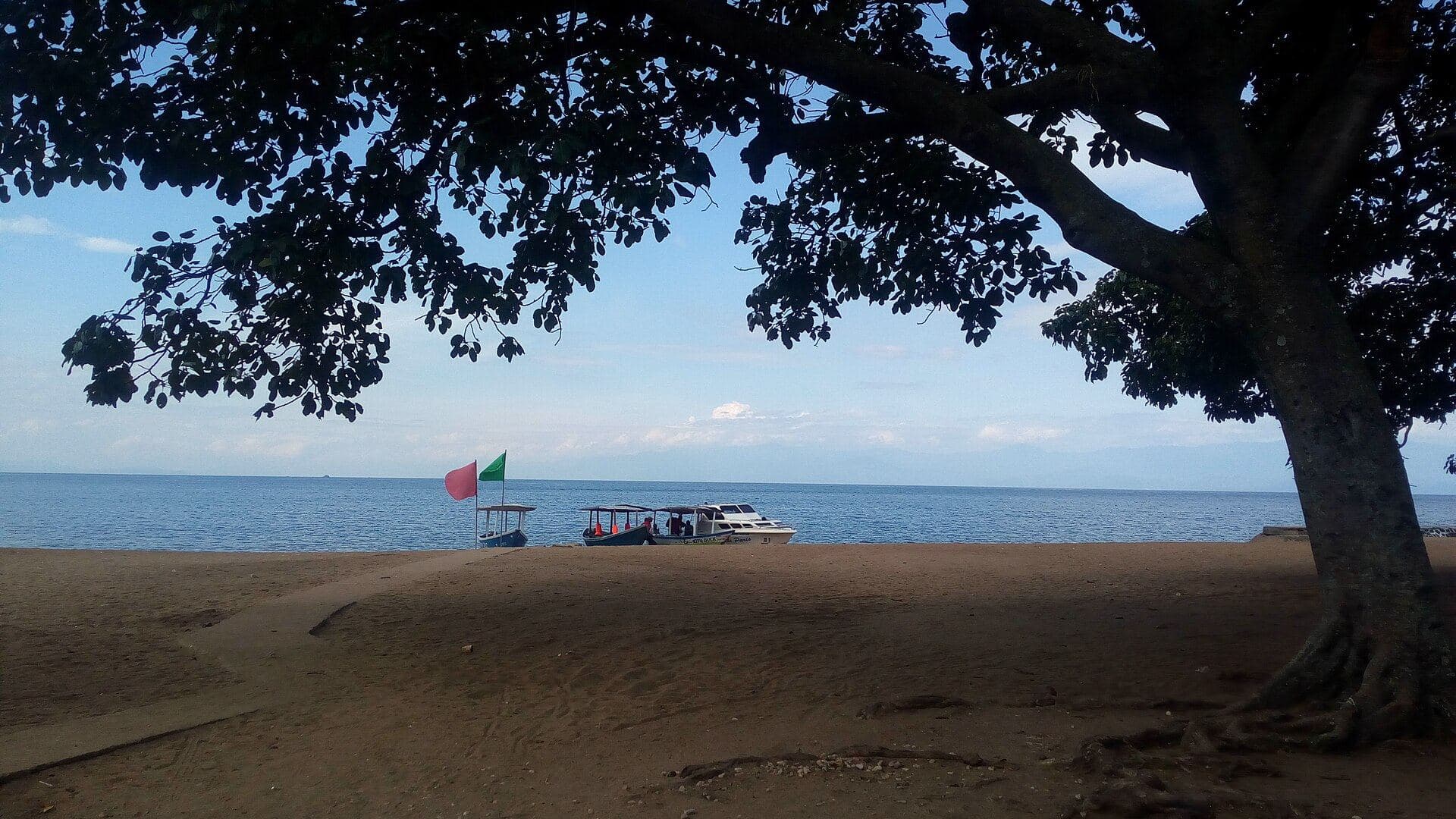 Plage du lac Kivu à l'ombre d'un arbre