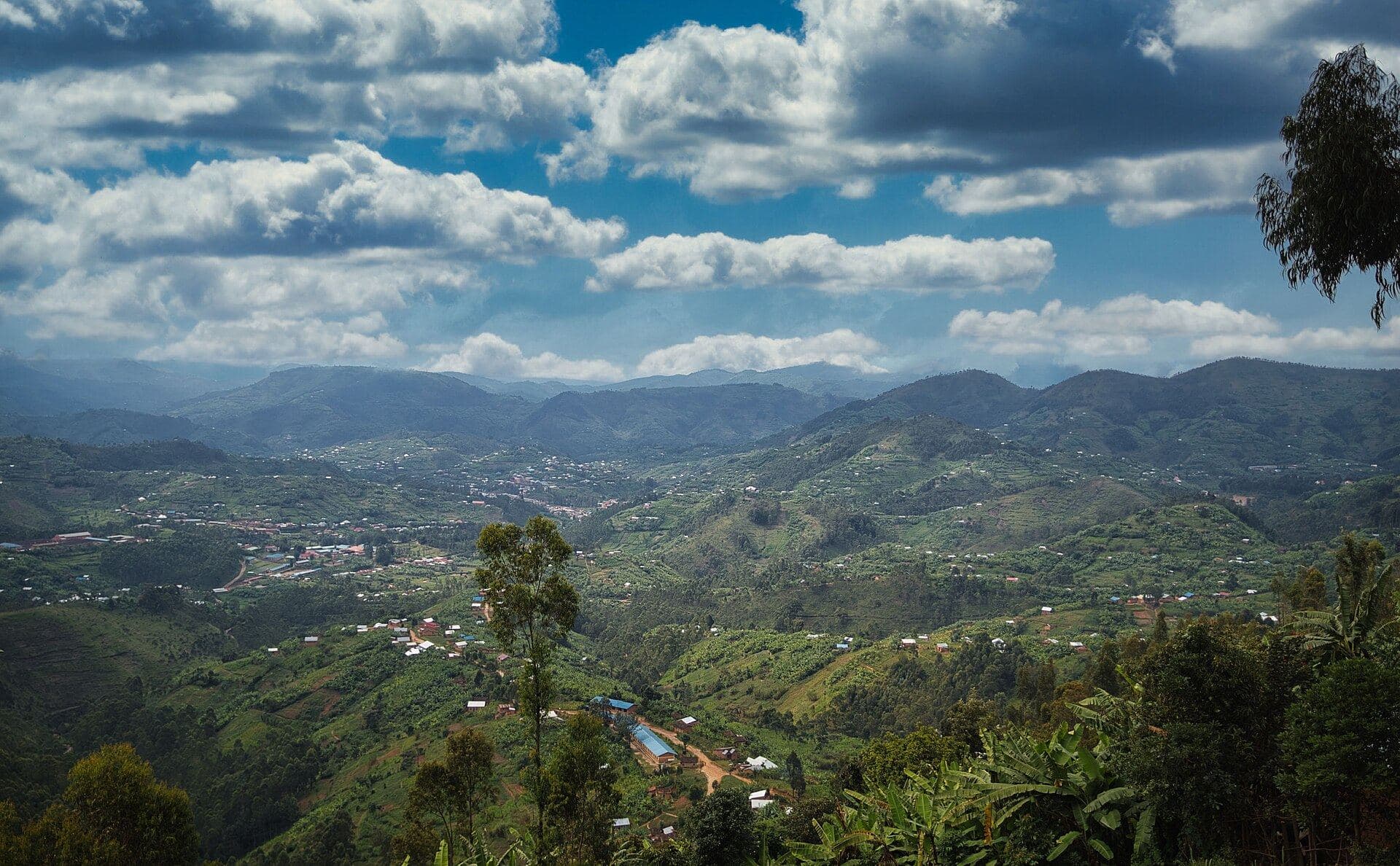 Les collines de Karongi au bord du lac Kivu