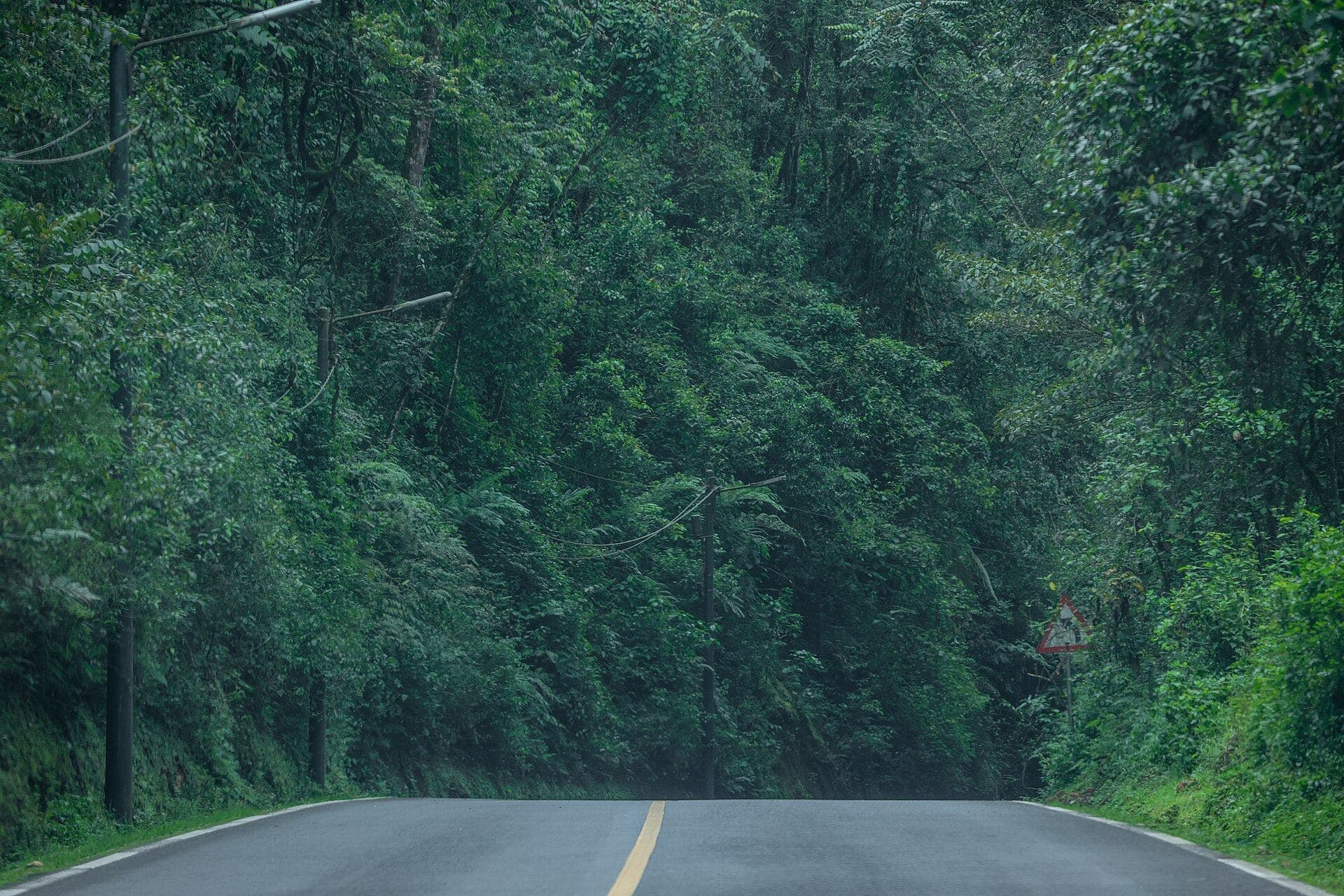 La route qui traverse la forêt de Nyungwe
